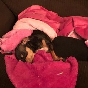 Meet your Posher, Rae